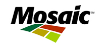 http://www.e-mosaic.com.ar/